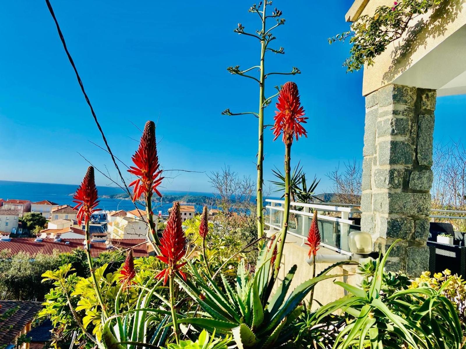 Villa Montalbo Vue Mer De 2 A 10 Personnes Cargese Luaran gambar